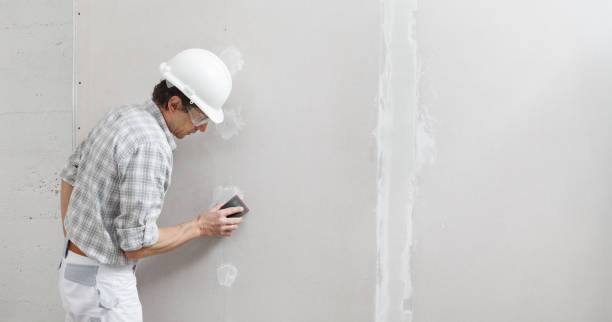 Best Attic Mold Removal  in Congers, NY