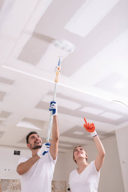 Best Emergency Mold Remediation  in Congers, NY