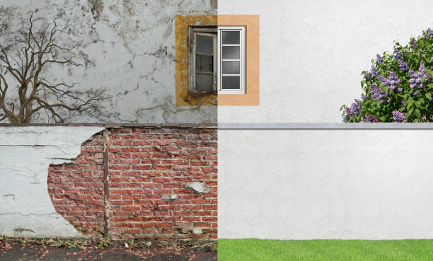 Best Water Damage & Mold Remediation  in Congers, NY
